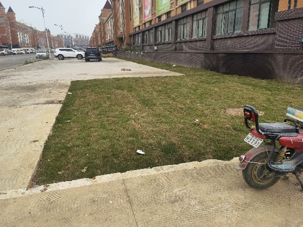 圖片1.png 圖片1.png